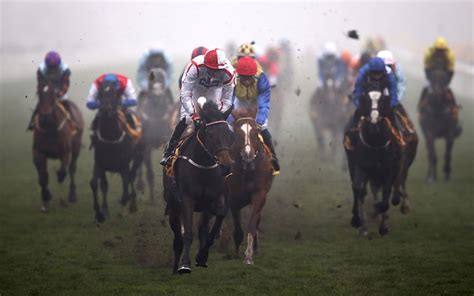 cheltenham racing predictions